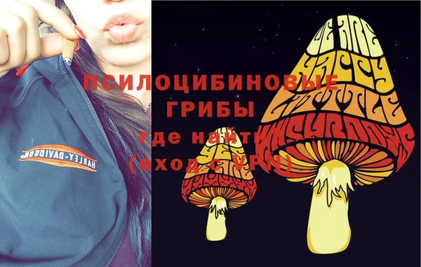 спиды Алексин