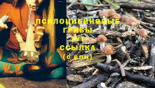 спиды Алексин
