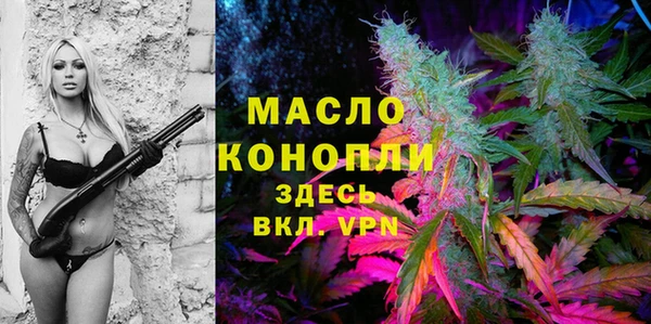 шишки Лагань